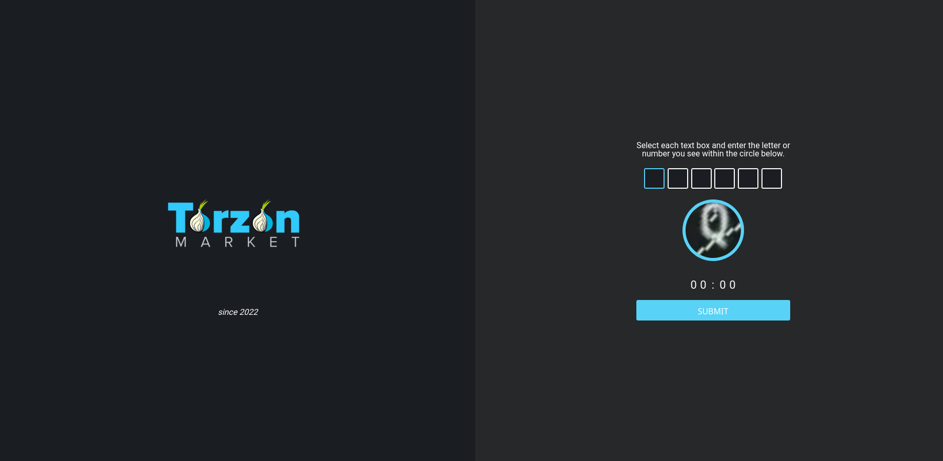 TorZon DDoS Protection